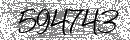 Spam Verification Code